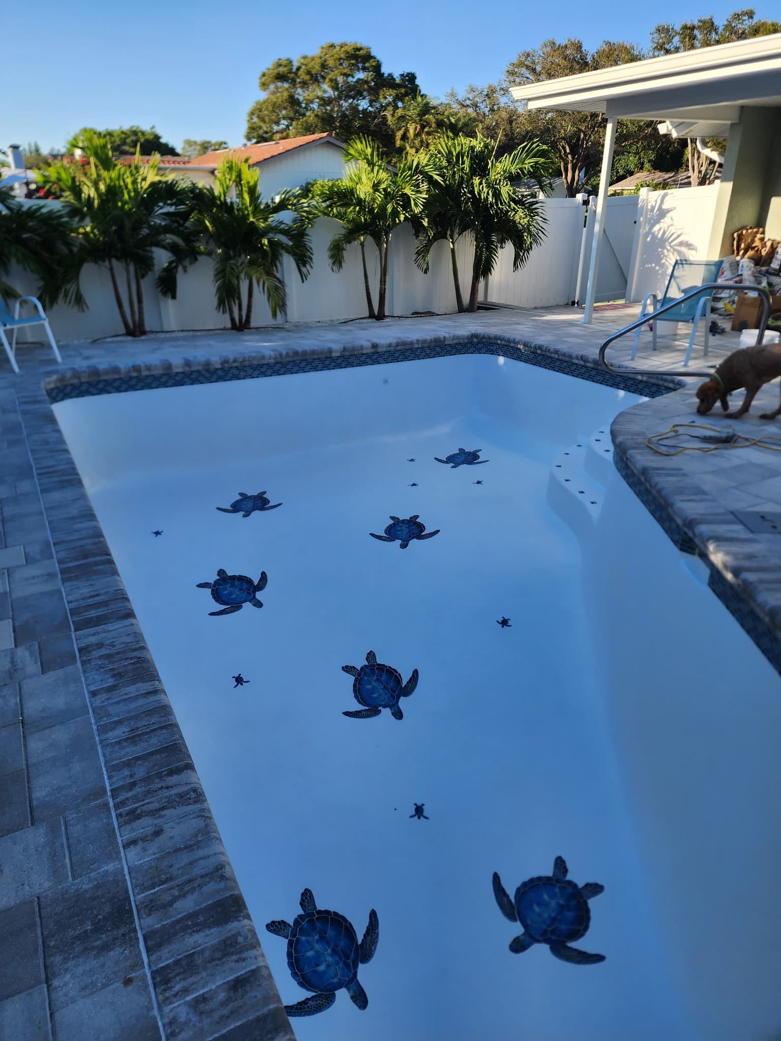 Fibre Tech custom tile work and fiberglass pool resurfacing — decorative tile installation